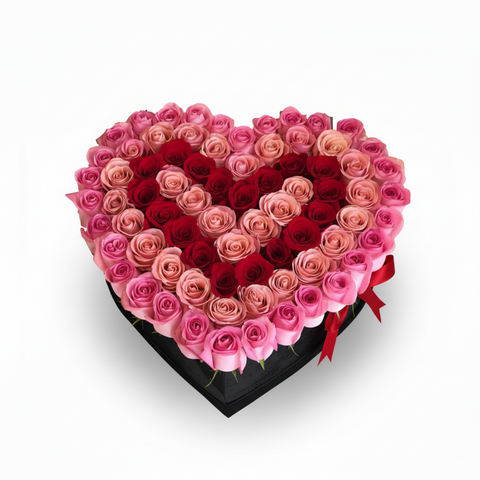 Love Affection
