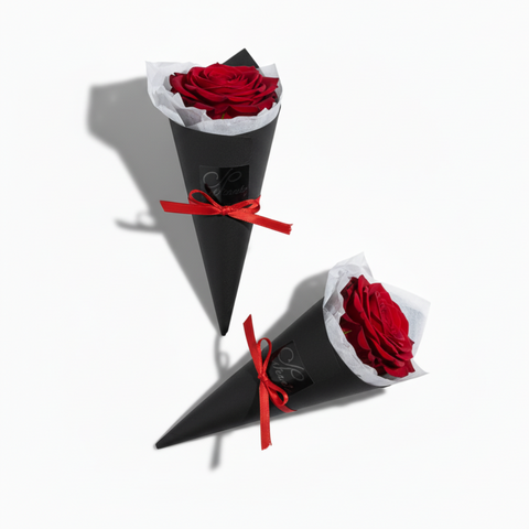 1 Red Rose Stem Cone
